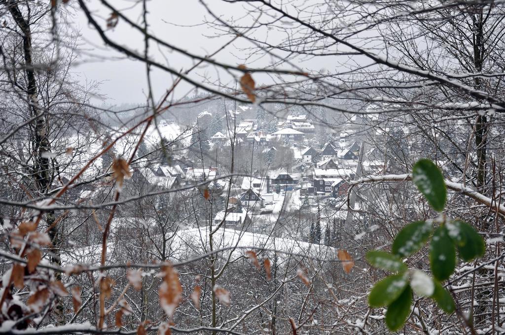 Hotel Haus Duemling Braunlage Zewnętrze zdjęcie