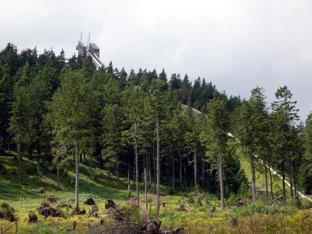 Hotel Haus Duemling Braunlage Zewnętrze zdjęcie