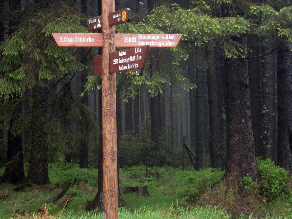 Hotel Haus Duemling Braunlage Zewnętrze zdjęcie