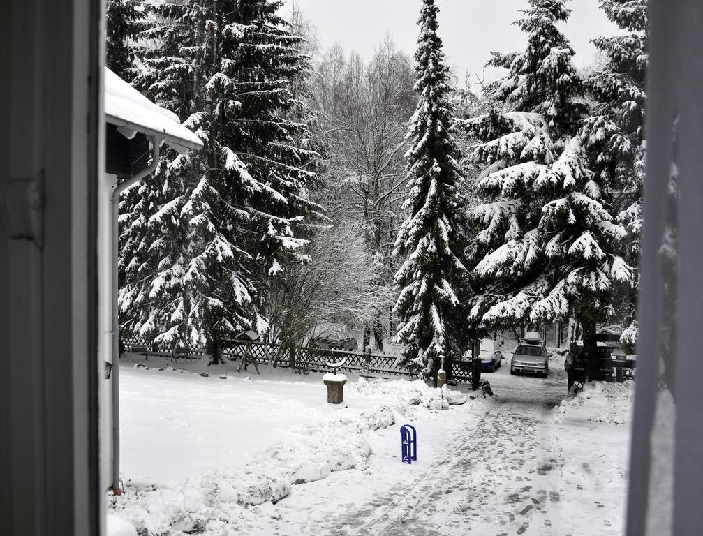 Hotel Haus Duemling Braunlage Zewnętrze zdjęcie