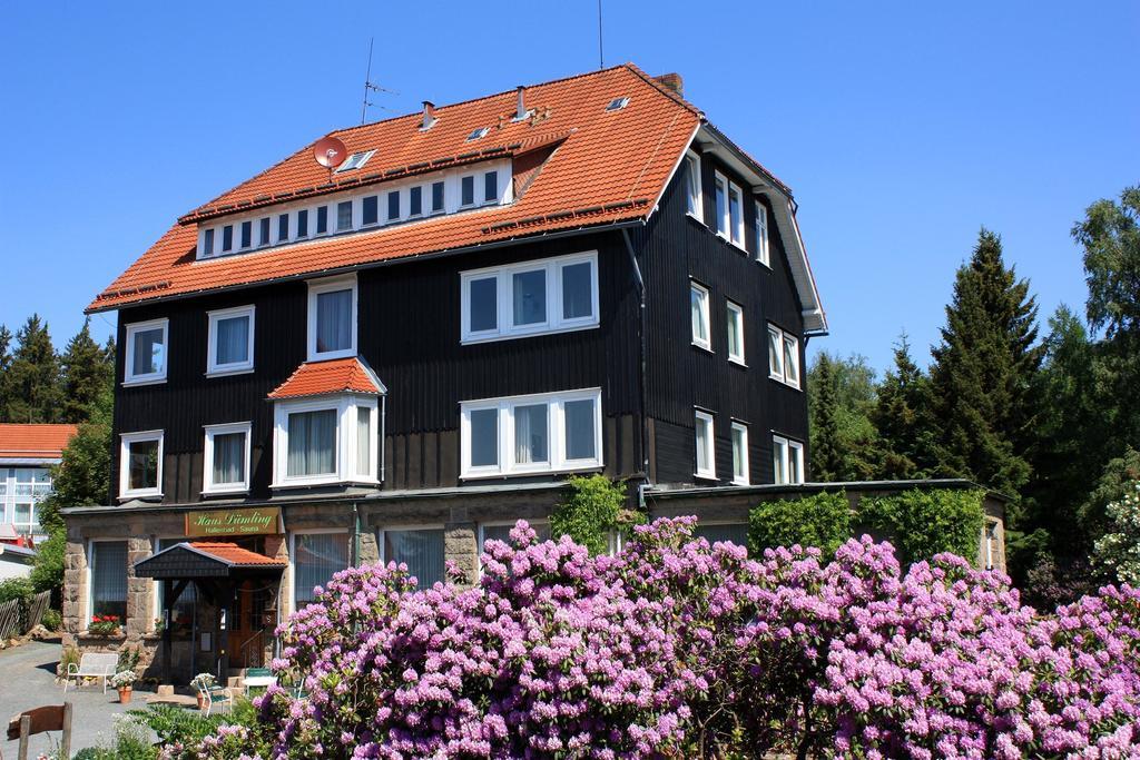 Hotel Haus Duemling Braunlage Zewnętrze zdjęcie